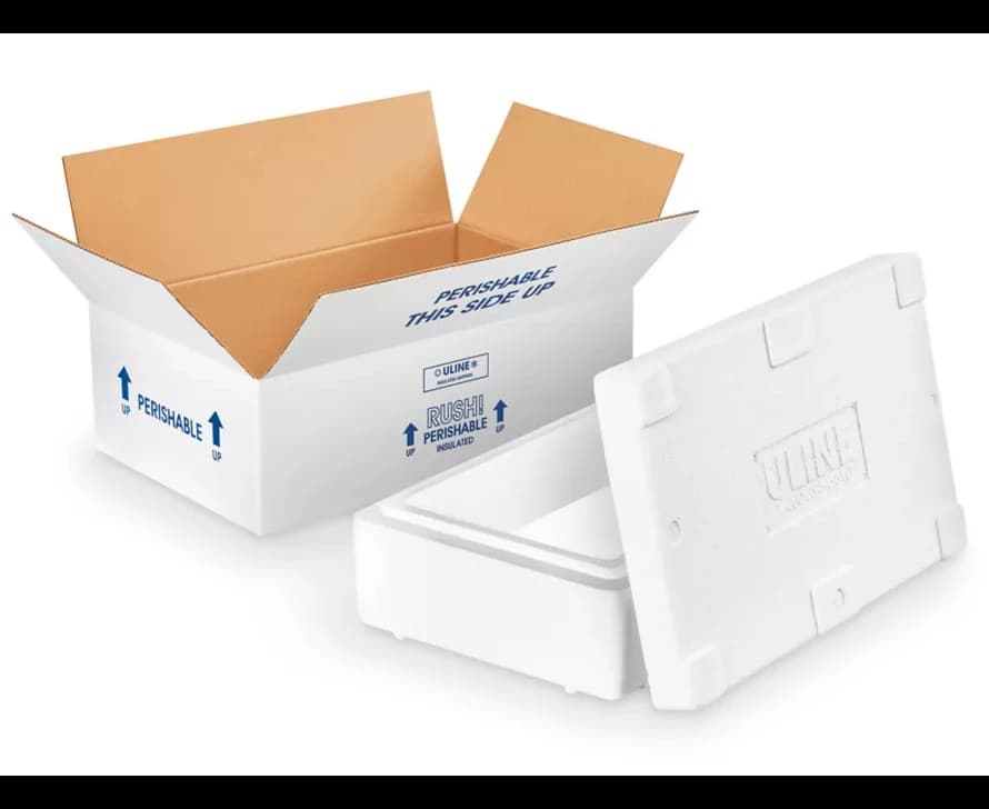 Insulated warm-weather protected shipping box with frozen gel pack