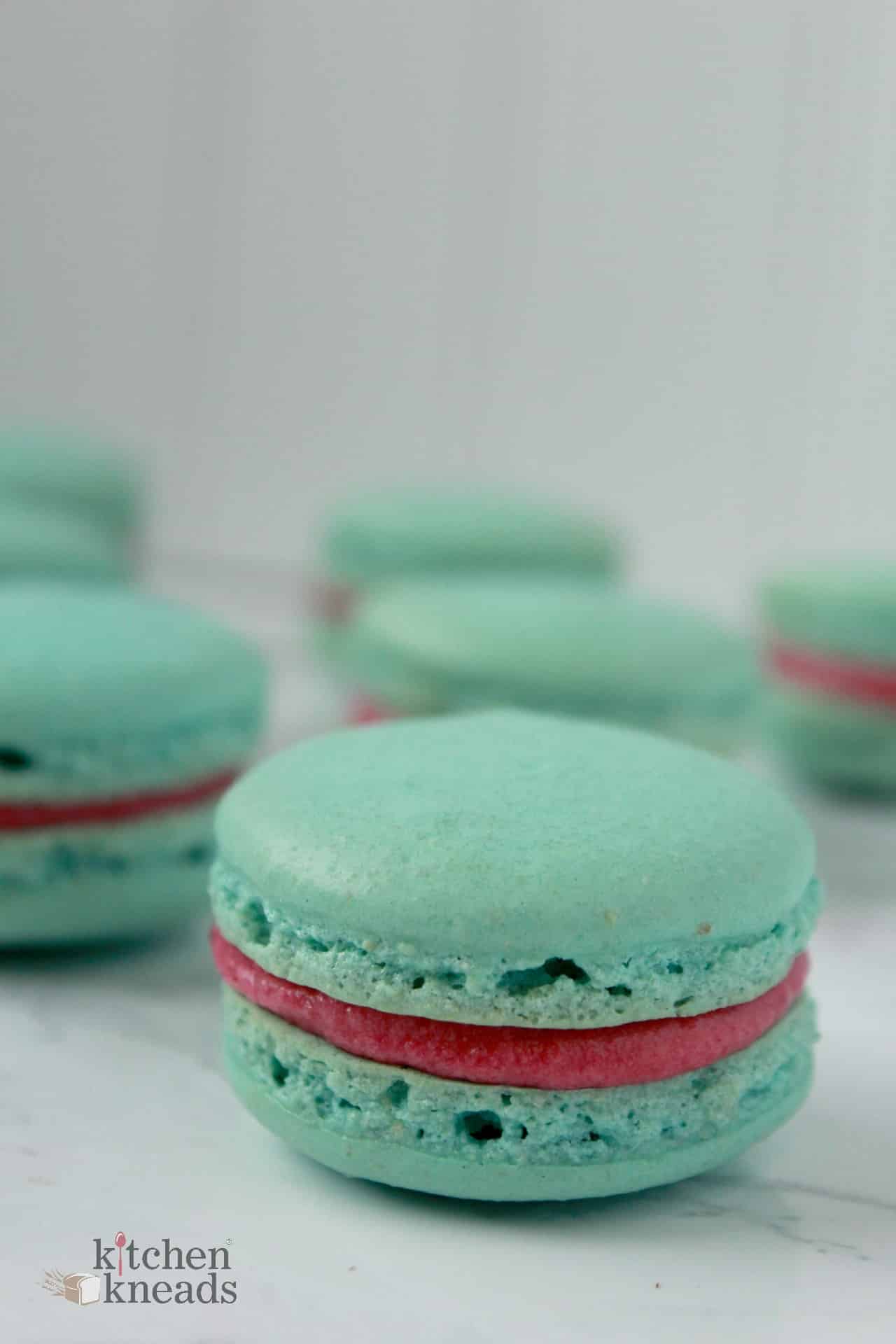 SOLD OUT ~ Hands-On Macaron Class | August 13th | Learn to Make an Amazing Macaron